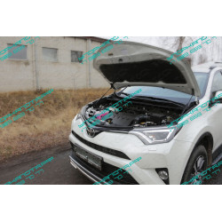 Упоры капота на Toyota Rav 4 TOYRAV15-10Y
