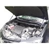 Упоры капота на Toyota RAV 4 15-03