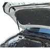 Упоры капота на Mazda 6 08-06