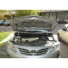Упоры капота на Toyota Corolla BD14.01