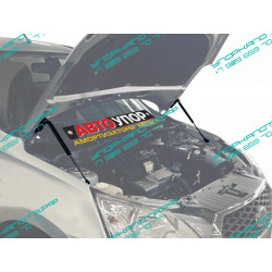 Упоры капота на Datsun on-DO UDAOND/MID012