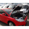 Упоры капота на Ford Focus 3 KU-FD-FS03-00