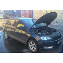Упоры капота на Skoda Rapid KU-SK-RP00-02