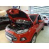 Упоры капота на Ford Ecosport KU-FD-ES00-00