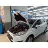 Упоры капота на Ford Fiesta KU-FD-FI06-00