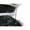 Упоры капота на Nissan Juke UNIJUK012